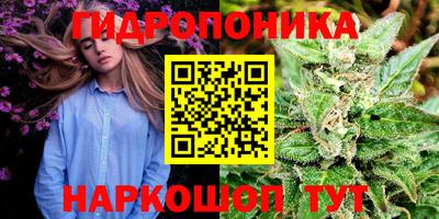 apvp Ангарск